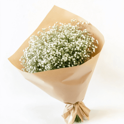 Snowy Gypsophila