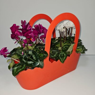 Seasonal Blooming Basket Bag Planter