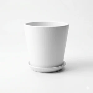 עציץ זכוכית (צבע לבחירתכם)