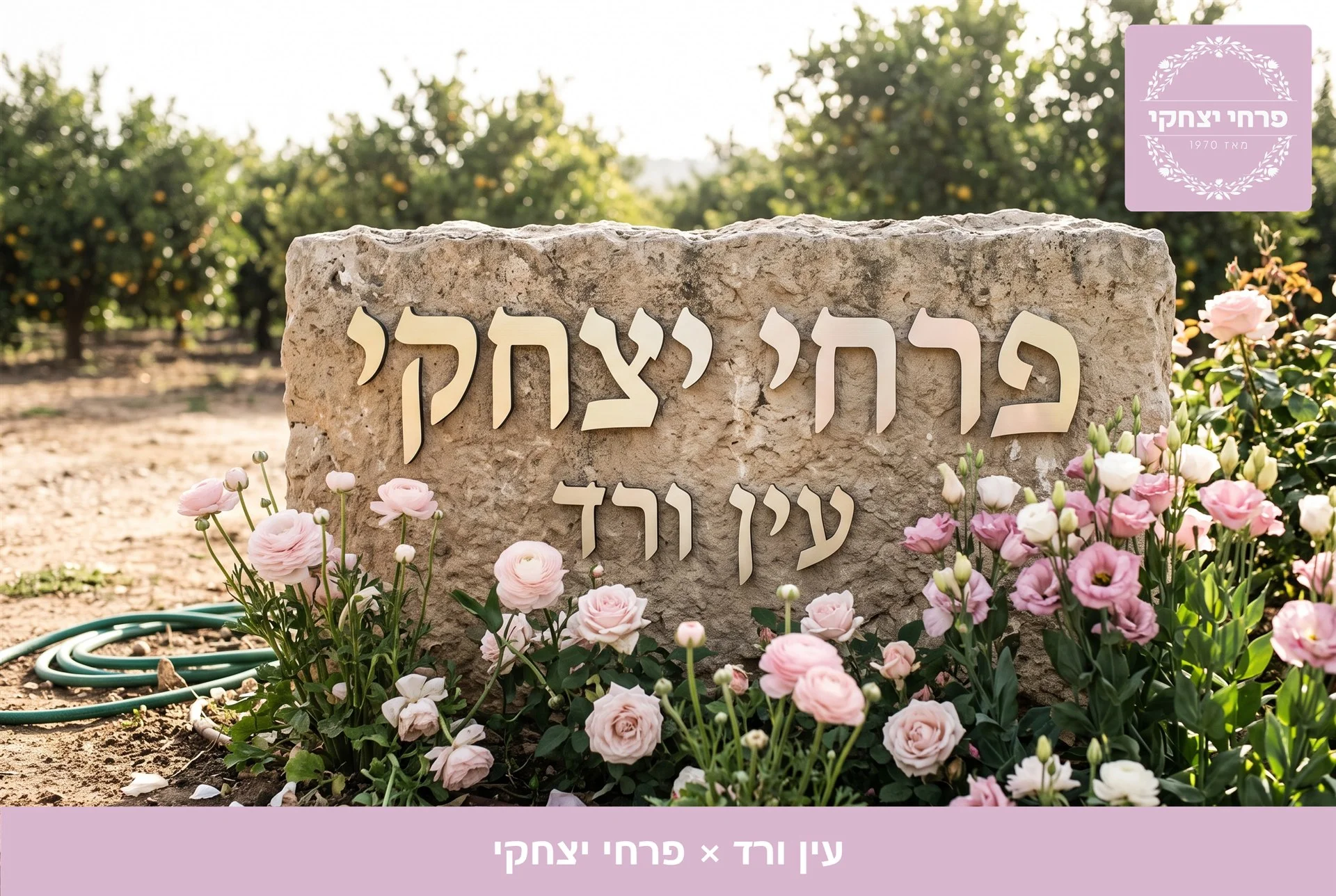 משלוחי פרחים עין ורד - שלט האבן של פרחי יצחקי בכניסה, מוקף נוריות, ורדים וליזיאנטוס בגוני ורוד - פרחי יצחקי