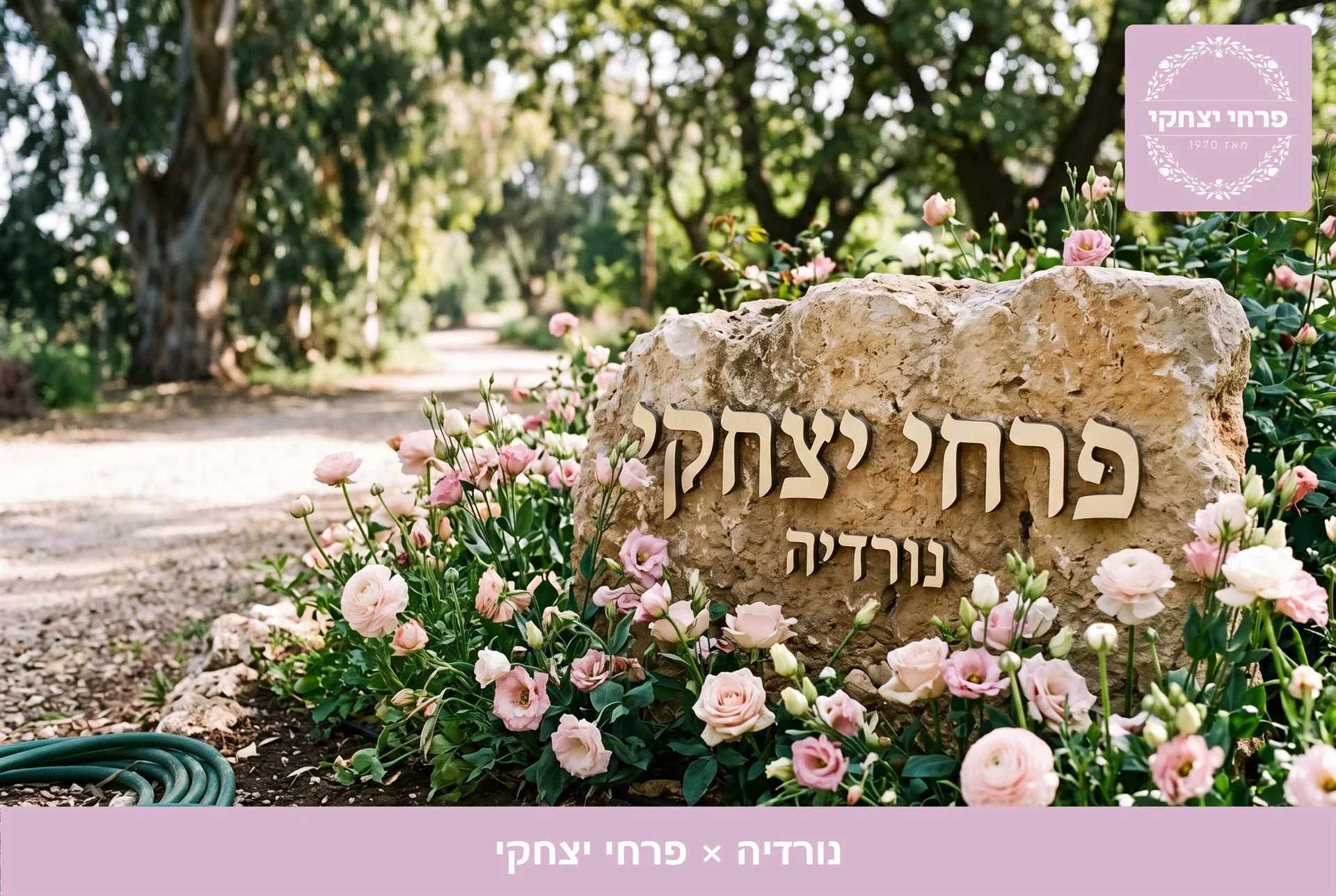 משלוחי פרחים נורדיה - שלט האבן של פרחי יצחקי בכניסה, מוקף נוריות, ורדים וליזיאנטוס בגוני ורוד - פרחי יצחקי